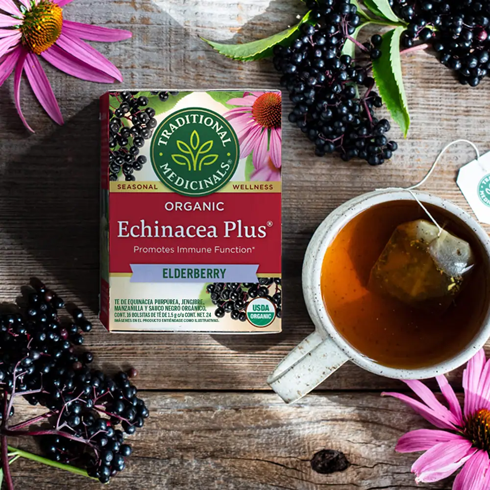 Echinacea Plus® Eldelberry - Image 2
